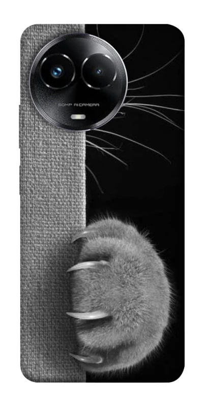 Чохол на Realme C67 4G Spy Cat фото 1 з 1