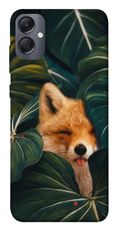 Чехол на Samsung Galaxy A05 Fox фото 1 из 1