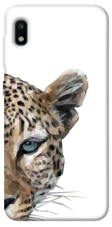 Чохол на Samsung Galaxy A10 (A105F) Leopard Art v2 фото 1 з 1