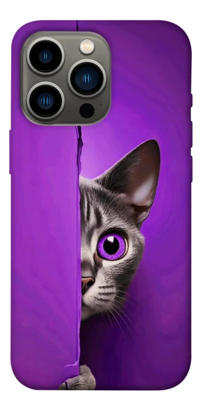 Чохол на Apple iPhone 13 Pro (6.1") Кіт-підглядач фото 1 з 1