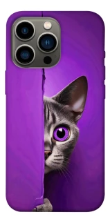Чохол на Apple iPhone 13 Pro (6.1") Кіт-підглядач фото 1 з 1