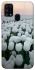 Чехол на Samsung Galaxy M31 Flowers v1 фото 1 Чехол на Samsung Galaxy M31 Flowers v1 фото 1 из 1