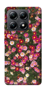 Чехол на Xiaomi 14T Flowers v8 фото 1 из 1