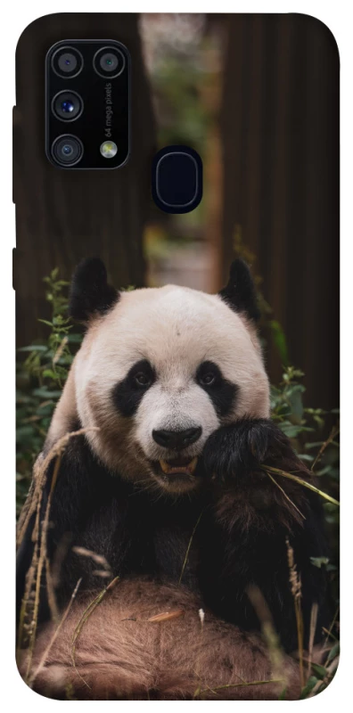 Чехол на Samsung Galaxy M31 Панда фото 1 из 1