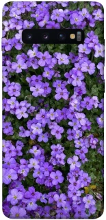 Чохол на Samsung Galaxy S10+ Flowers v17 фото 1 з 1