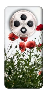Чехол на Oppo Reno 12 F 4G/5G Поле маков фото 1 из 1