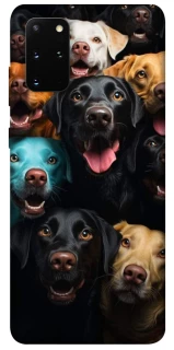 Чохол на Samsung Galaxy S20+ Собаки фото 1 з 1
