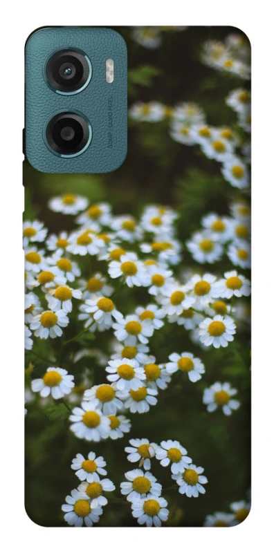 Чохол на Motorola Moto G06 Ромашки v13 фото 1 з 1