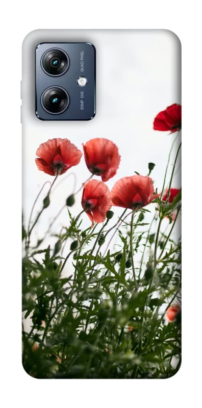 Чохол на Motorola Moto G54 Power Поле маків фото 1 з 1