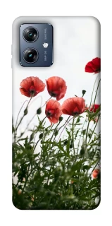 Чехол на Motorola Moto G54 Power Поле маков фото 1 из 1