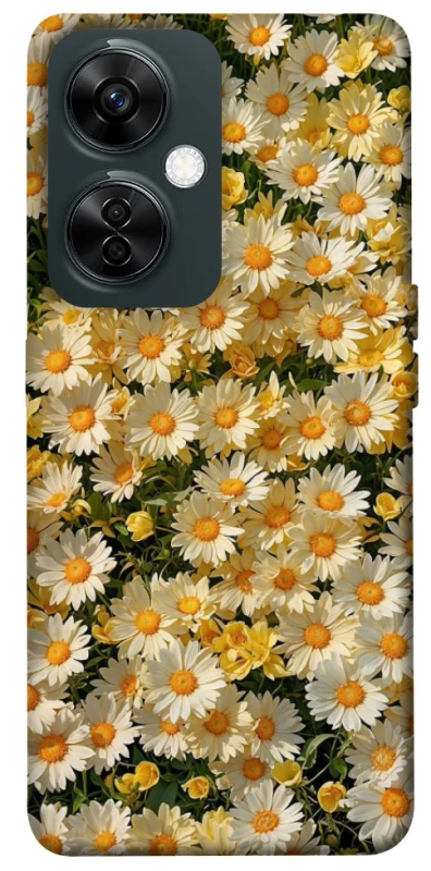 Чохол на OnePlus Nord CE 3 Lite Camomile фото 1 з 1