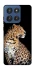 Чохол на Motorola Edge 60 Stylus Leopard v2 фото 1 з 1