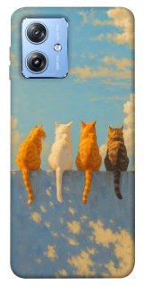 Чехол на Motorola Moto G84 cats on wall фото 1 из 1