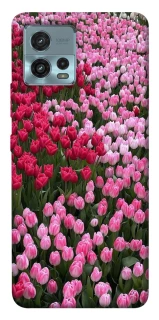 Чехол на Motorola Moto G72 Flowers v9 фото 1 из 1