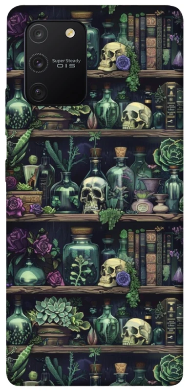 Чохол на Samsung Galaxy S10 Lite Bookshelf ver.1 фото 1 з 1