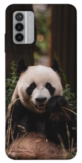 Чохол на Nokia G42 Панда фото 1 з 1