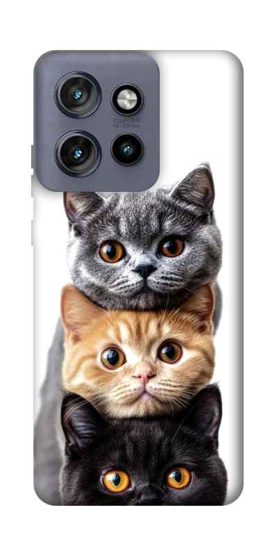 Чехол на Motorola Edge 50 Neo Красивые котики фото 1 из 1