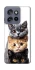 Чехол на Motorola Edge 50 Neo Красивые котики фото 1 из 1