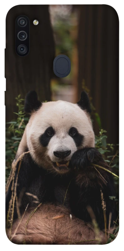 Чехол на Samsung Galaxy M11 Панда фото 1 из 1