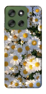 Чехол на Motorola Moto G56 5G Поле ромашек фото 1 из 1