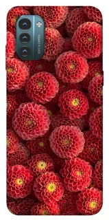 Чохол на Nokia G21 Midnight1 фото 1 з 1