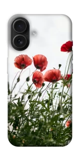 Чехол на Apple iPhone 16 Поле маков фото 1 из 1