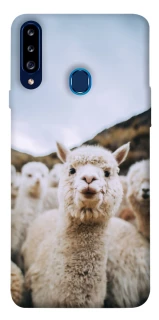 Чохол на Samsung Galaxy A20s Лама фото 1 з 1