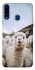 Чохол на Samsung Galaxy A20s Лама фото 1 з 1