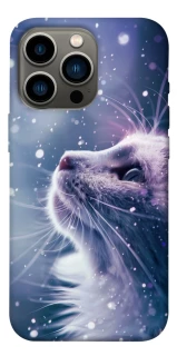 Чехол на Apple iPhone 13 Pro (6.1") Snow cat фото 1 из 1