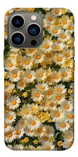 Чехол на Apple iPhone 13 Pro (6.1") Camomile фото 1 из 1