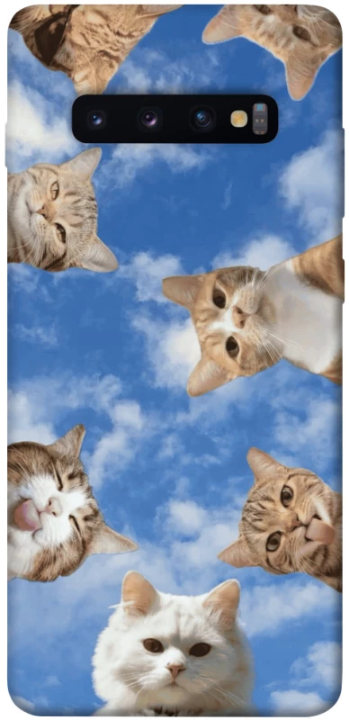 Чехол на Samsung Galaxy S10+ Сats фото 1 из 1