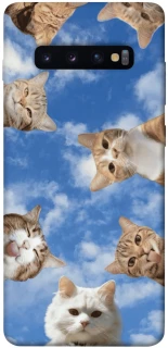 Чохол на Samsung Galaxy S10+ Сats фото 1 з 1