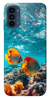 Чохол на Motorola Moto G41 Coral fish фото 1 з 1