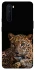 Чехол на OnePlus Nord Leopard v4 фото 1 из 1