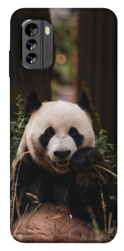 Чохол на Nokia G60 Панда фото 1 з 1