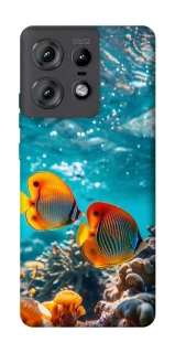 Чохол на Motorola Edge 50 Pro Coral fish фото 1 з 1