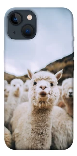 Чехол на Apple iPhone 13 (6.1") Лама фото 1 из 1