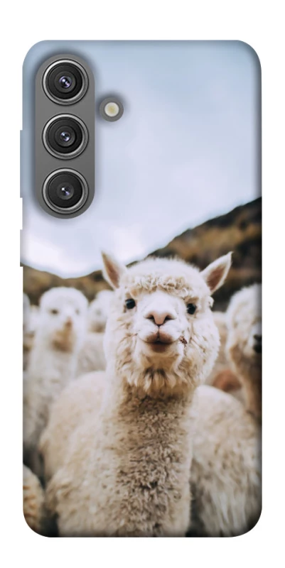 Чохол на Samsung Galaxy S24 Лама фото 1 з 1