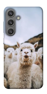 Чохол на Samsung Galaxy S24 Лама фото 1 з 1