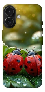 Чохол на Apple iPhone 17 (6.3") Flowers v23 фото 1 з 1