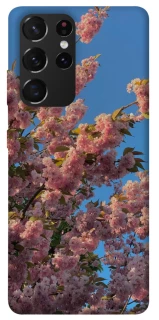 Чохол на Samsung Galaxy S21 Ultra Flowers v4 фото 1 з 1