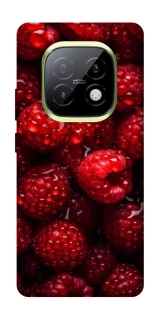 Чехол на Realme Narzo 70 Turbo Малинка фото 1 из 1