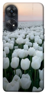 Чохол на Oppo Reno 8T 4G Flowers v1 фото 1 з 1