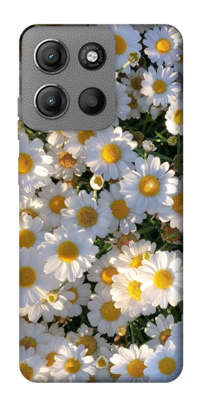 Чехол на Motorola Moto G15 4G Поле ромашек фото 1 из 1