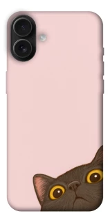 Чехол на Apple iPhone 16 Plus Peeping cat фото 1 из 1