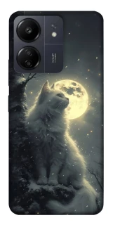 Чехол на Xiaomi Redmi 13C Кот под луной фото 1 из 1