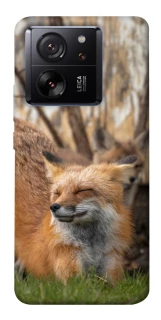 Чехол на Xiaomi 13T Лиса фото 1 из 1