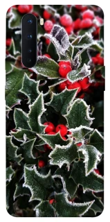 Чехол на OnePlus Nord Новогодний v32 фото 1 из 1