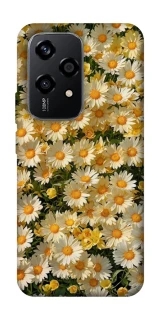 Чохол на Honor 200 Lite Camomile фото 1 з 1