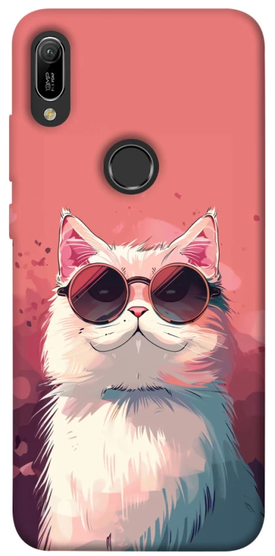 Чохол на Huawei Y6 (2019) Сat with glasses фото 1 з 1